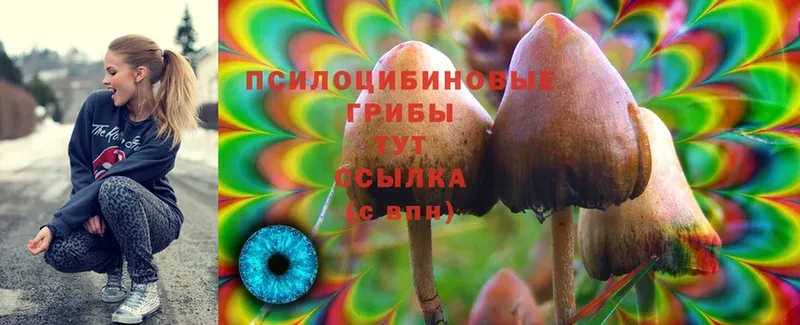 Галлюциногенные грибы Magic Shrooms  площадка официальный сайт  Болгар 